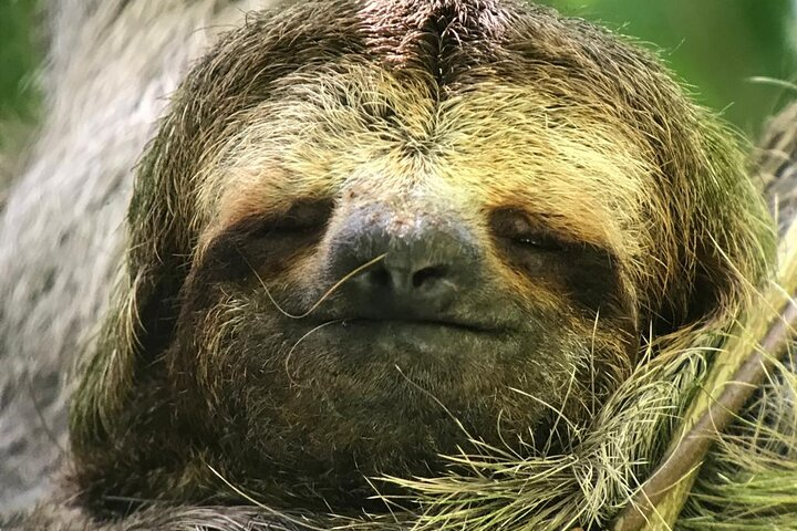 Manuel Antonio National Park Guided Tour - Photo 1 of 5